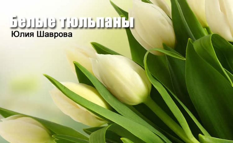 Белые тюльпаны belyye tyulpany yulia shavrova