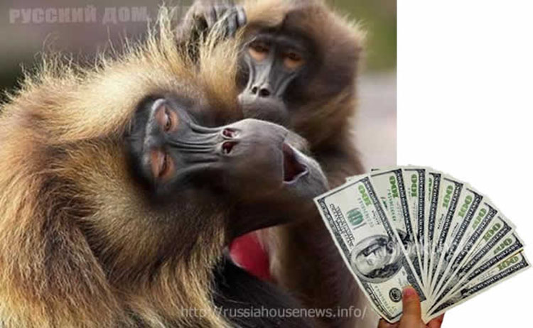 monkey money 3