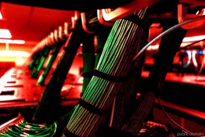 Россия заняла предпоследнее место в мире по уровню свободы интернета