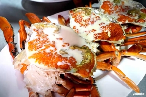 МИНЕРАЛЫ ЖИЗНИ