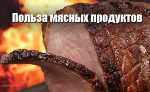 Польза мясных продуктов