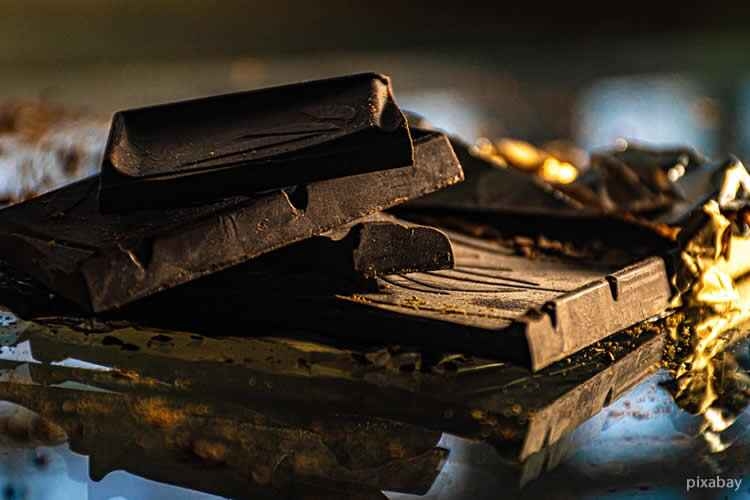 История шоколада: от ритуального напитка до лакомства