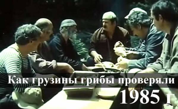 Грузины хотели проверить грибы на съедобность